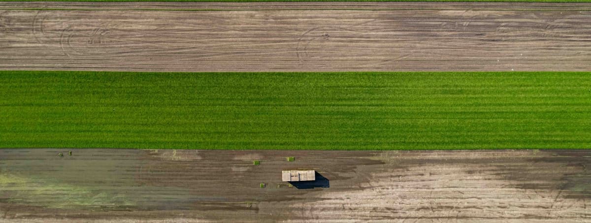 AgroVerde Export
